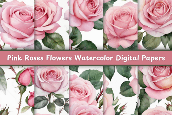 Elevate Your Projects with Pink Roses Flowers Watercolor Patterns